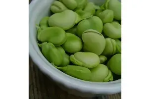 mellanöstern