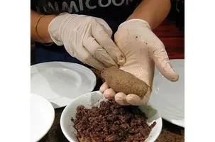 mellanöstern
