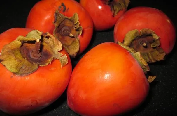 Hachiyaperssimonbröd