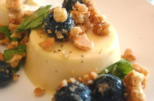 Honungspannacotta med blåbär och grahamskex