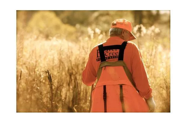 Vaktlar från Plantation