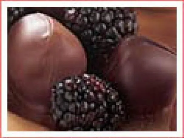 Xocai Mörk choklad doppade björnbär