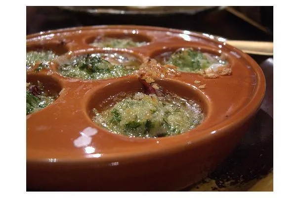Zucchinidipp